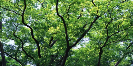 CO2排出量の削減